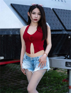变形金刚2全集